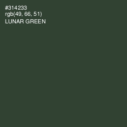#314233 - Lunar Green Color Image